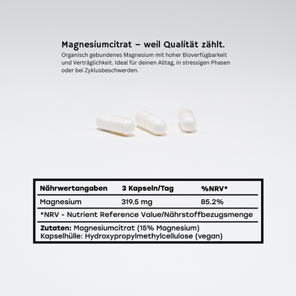 MEGA MAGNESIUM Complément de magnésium